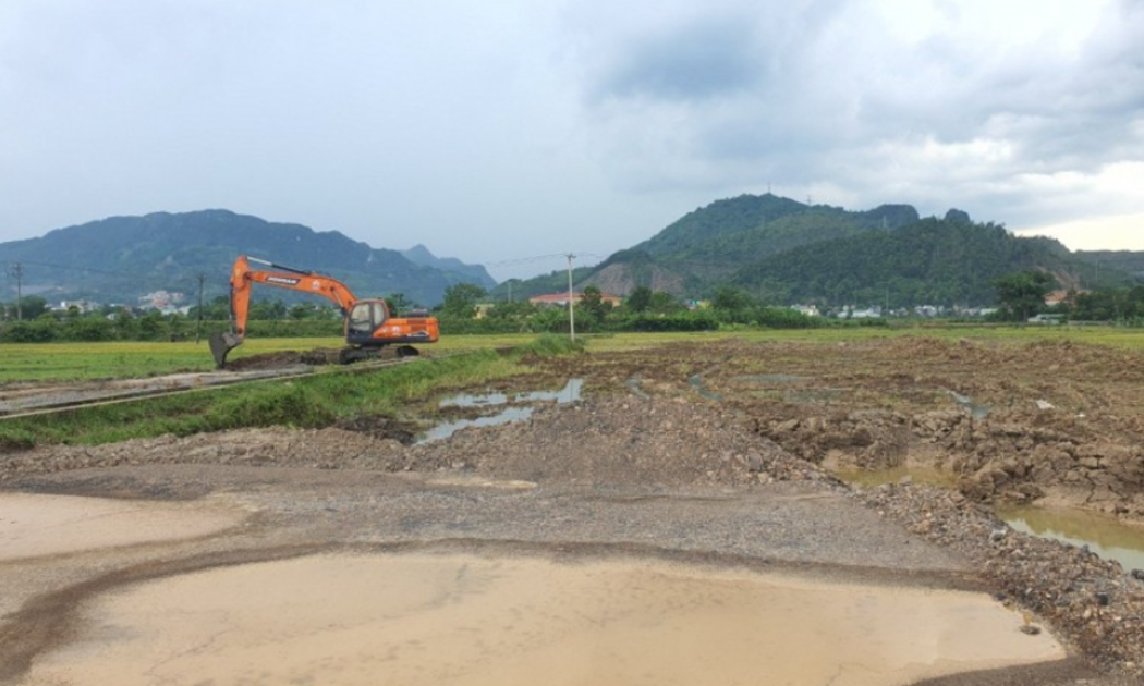 Hòa Bình nằm trong nhóm địa phương