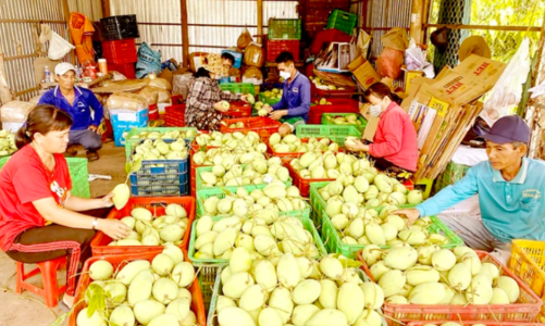 Hơn 97% nông, thủy sản trên thị trường đạt yêu cầu về an toàn thực phẩm