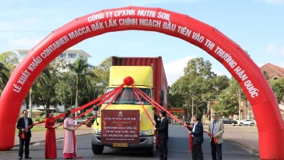 Dak Lak exports first batch of macadamias to South Korea