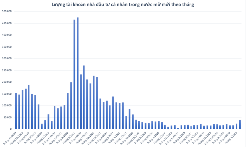 Nhà đầu tư cá nhân mở tài khoản tăng vọt trở lại gần 156.000 trong tháng 12/2023