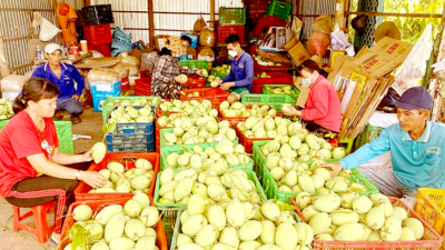 MARD: 97% of farm produce meets food safety requirements