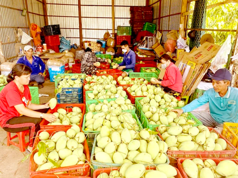 MARD: 97% of farm produce meets food safety requirements