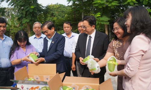 An Giang exports first batches of mangoes to Australia & US