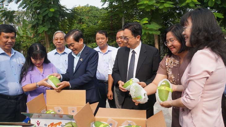 An Giang exports first batches of mangoes to Australia & US