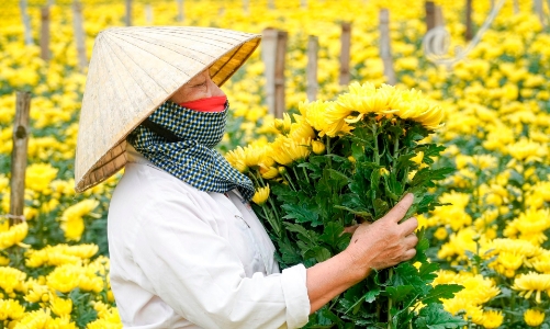 Những làng nghề tại xứ Thanh tất bật những ngày cận Tết