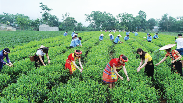 Kỳ vọng của nông dân miền núi: Cụ thể hóa bằng hành động