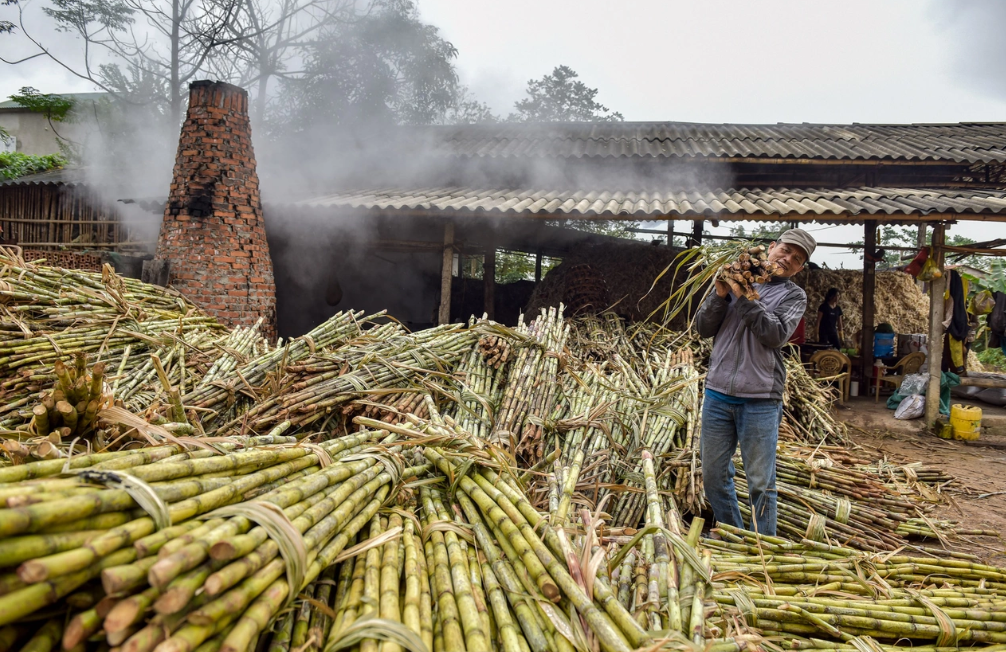 Thạch Th&agrave;nh l&agrave; v&ugrave;ng nguy&ecirc;n liệu trồng m&iacute;a lớn nhất của Thanh H&oacute;a. Ngo&agrave;i việc cung cấp m&iacute;a cho c&aacute;c nh&agrave; m&aacute;y đường, loại c&acirc;y n&agrave;y c&ograve;n được d&ugrave;ng để sản xuất mật