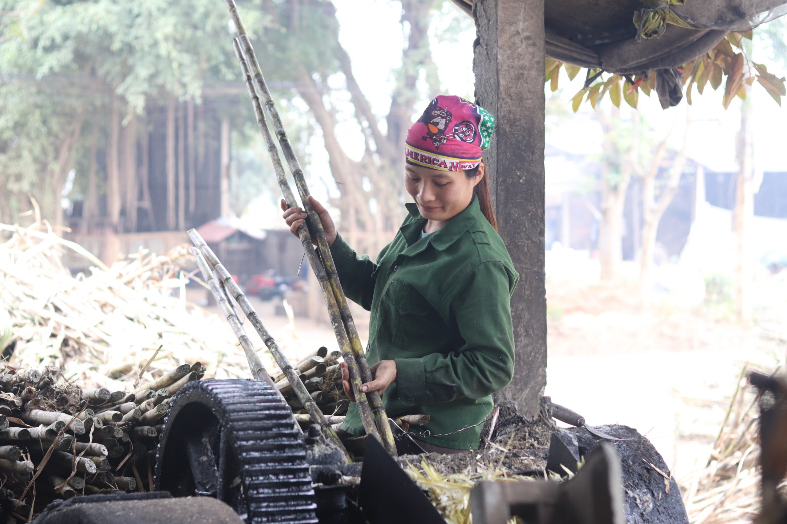 Công đoạn đầu tiên để làm mật là đưa mía vào máy ép để lấy nước, sau đó đưa vàolò nấu trên các chảo cỡ lớn