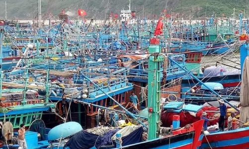 Phát triển thủy sản bền vững cần 115,6 triệu USD, dự kiến ký hiệp định vay vốn WB vào tháng 9/2024
