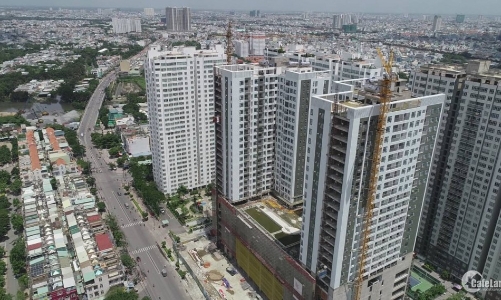 Hoạt động đầu tư bất động sản tăng mạnh trong năm 2024