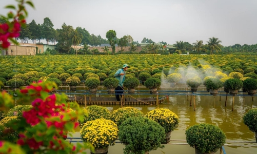 Tết Nguyên đán 2024: Tour nội “thua trên sân nhà