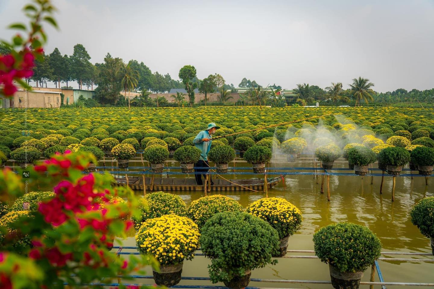 Ảnh: Saigontourist Travel