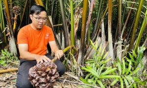 TP.HCM đặt mục tiêu trở thành trung tâm nông nghiệp công nghệ cao 