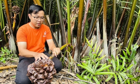 TP.HCM đặt mục tiêu trở thành trung tâm nông nghiệp công nghệ cao