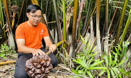 TP.HCM đặt mục tiêu trở thành trung tâm nông nghiệp công nghệ cao 