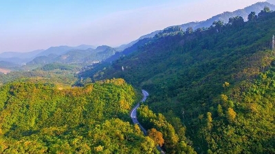 Vietnam to develop carbon credit market