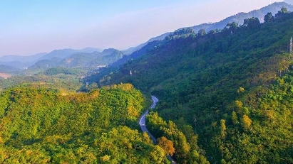 Vietnam to develop carbon credit market