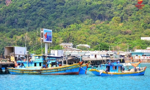 Khai trương tuyến tàu cao tốc TP.HCM - Côn Đảo vào dịp Tết Giáp Thìn 