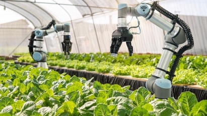 HCMC targets becoming hi-tech agricultural center