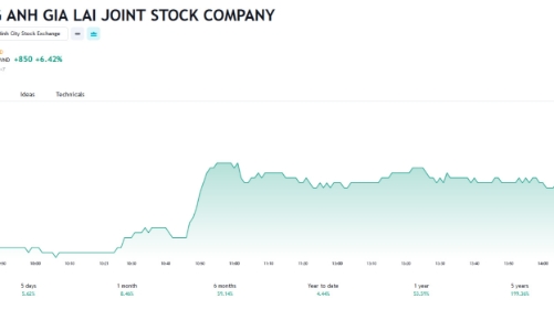 HAG đăng ký mua cổ phần và muốn chuyển đổi nợ của Chăn nuôi Gia Lai thành vốn góp 