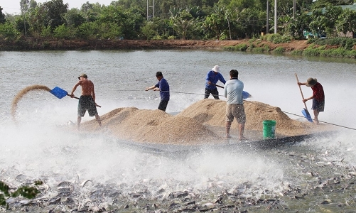 Định giá cổ phiếu thủy sản đang ở mức cao lịch sử