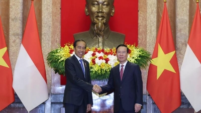 Vietnam & Indonesia target annual bilateral trade of $15bln