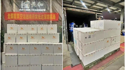 Vietnam exports first batch of bird’s nests to China by air