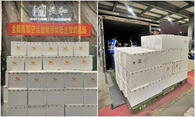 Vietnam exports first batch of bird’s nests to China by air