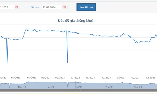 Cổ phiếu vào diện cảnh báo, VMD còn bị phạt do công bố thông tin không đúng hạn