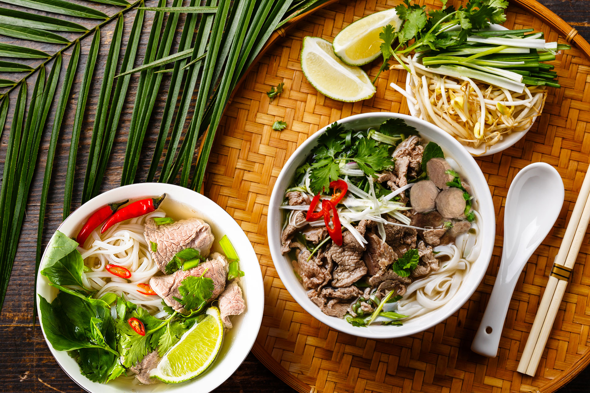 Món phở miền Bắc và phở Sài Gòn trên báo chí nước ngoài. Ảnh: Asian Inspirations.