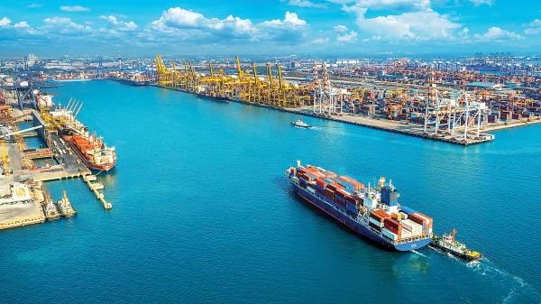 Giá cước vận chuyển tăng phi mã: Thủy sản, đồ gỗ “đứng ngồi không yên”