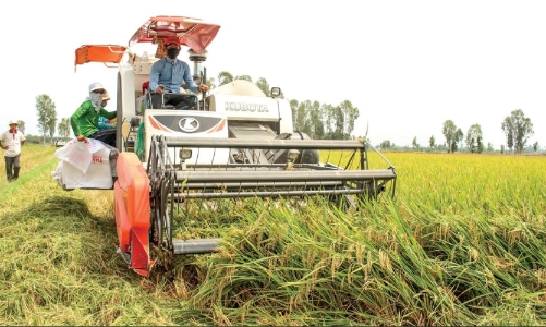 Việt Nam là thị trường tiềm năng cho các doanh nghiệp sản xuất máy móc và thiết bị nông nghiệp