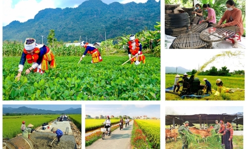 Thí điểm phân cấp cho cấp huyện trong quản lý, tổ chức thực hiện các chương trình mục tiêu quốc gia