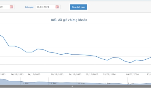 Mới lên sàn HOSE được 1,5 tháng, SBG muốn huy động 115 tỷ để trả nợ mua hàng đến hạn