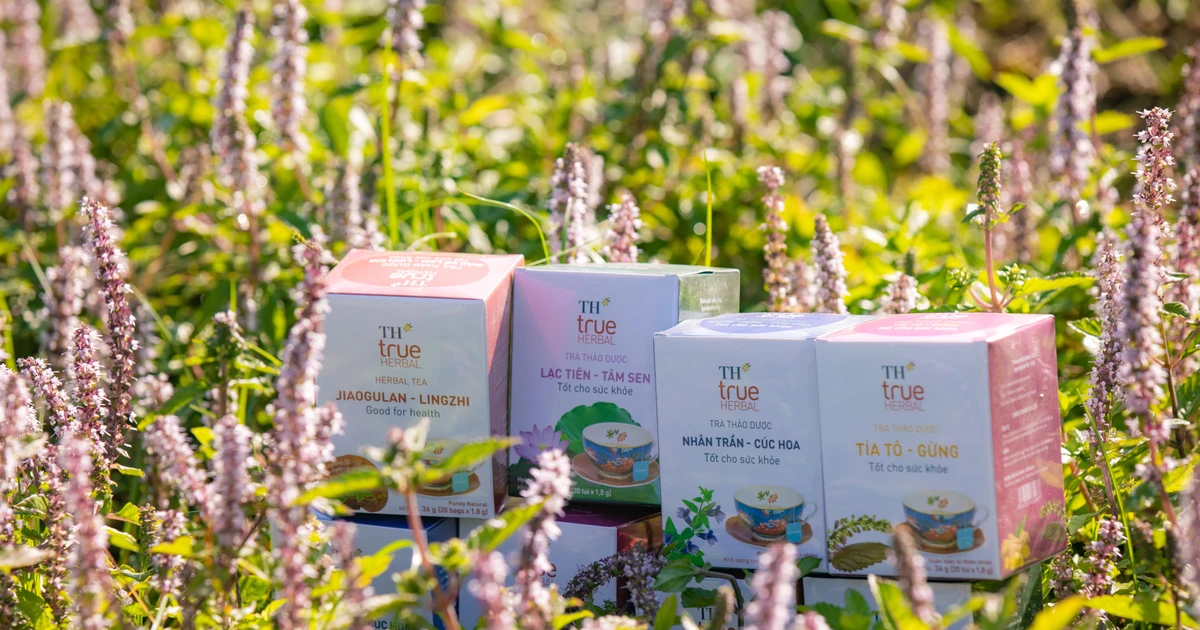 Bộ sản phẩm tr&agrave; thảo dược t&uacute;i lọc TH true HERBAL