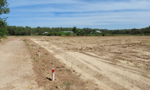 Bình Định phát hiện vi phạm trong sử dụng đất 