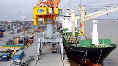 Transport ministry to help businesses as shipping costs to Europe and Americas rise