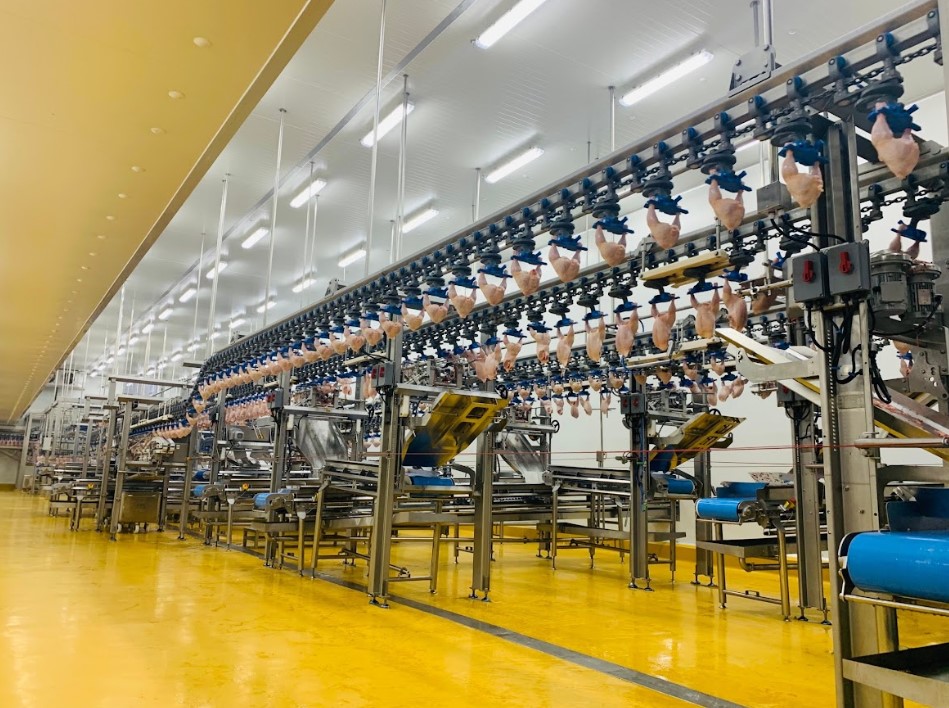 Bên trong nhà máy chế biến thịt gà hiện đại tại CPV Food Bình Phước.