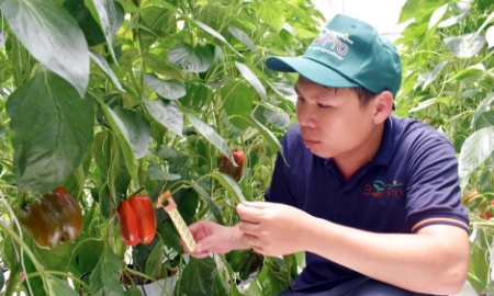 Ớt chuông, mỳ ăn liền, sầu riêng xuất khẩu vào EU phải kiểm tra dư lượng thuốc bảo vệ thực vật tại cửa khẩu