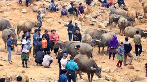 Chợ vùng biên thúc đẩy kinh tế hộ người dân tộc thiểu số