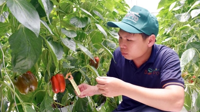 Certain Vietnamese exports to be subject to EU pesticide checks