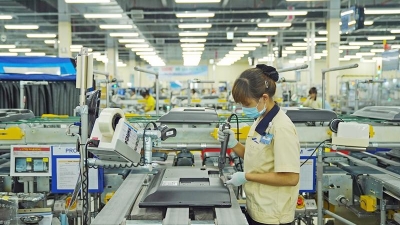 $31mln to be invested in developing supporting industry