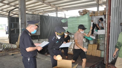 Customs sector handles nearly 16,000 violations in 2023