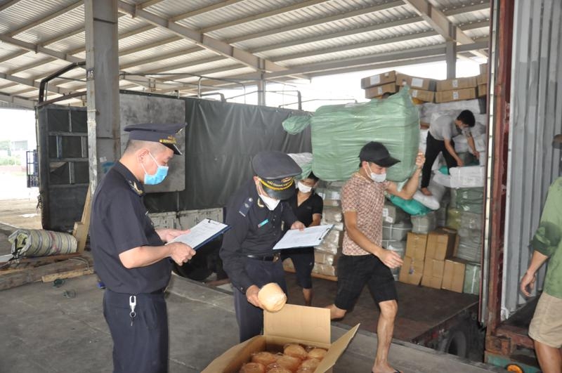 Customs sector handles nearly 16,000 violations in 2023