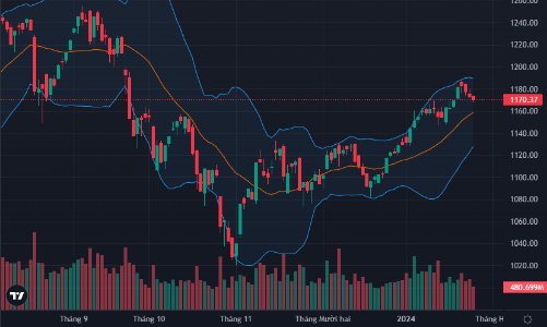 Bảng điện “đứng hình”, tiền nghỉ Tết sớm?