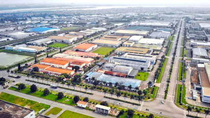 Ha Tinh licenses plywood production plant