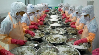 2024 shrimp exports tipped to reach $4-4.2 billion