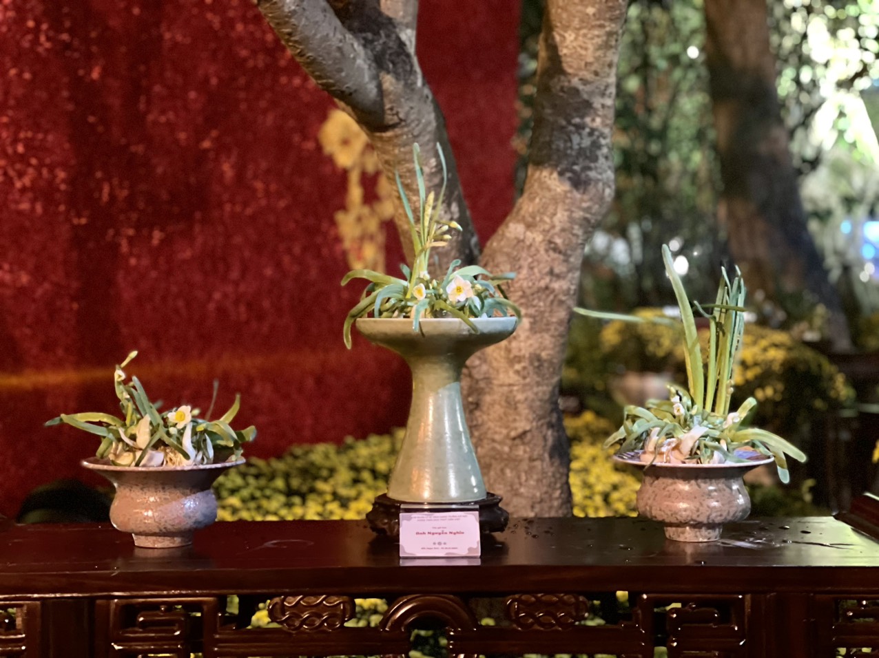 Mỗi bát hoa Thủy Tiên được trưng bày đều phản ánh sự cẩn thận, tỉ mỉ, chỉn chu của người gọt tỉa ra chúng.