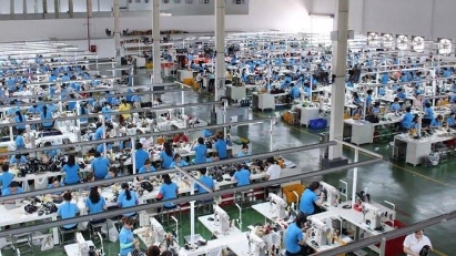 Thanh Hoa approves leather shoe project