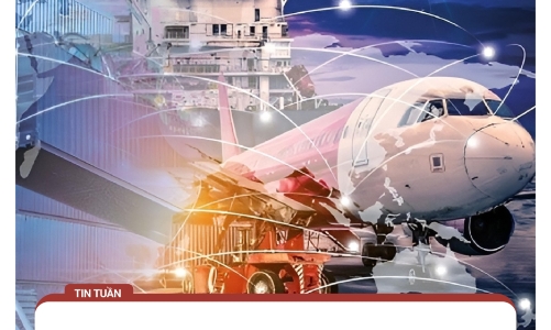 Nhiều doanh nghiệp Việt “sập bẫy” lừa đảo thương mại quốc tế